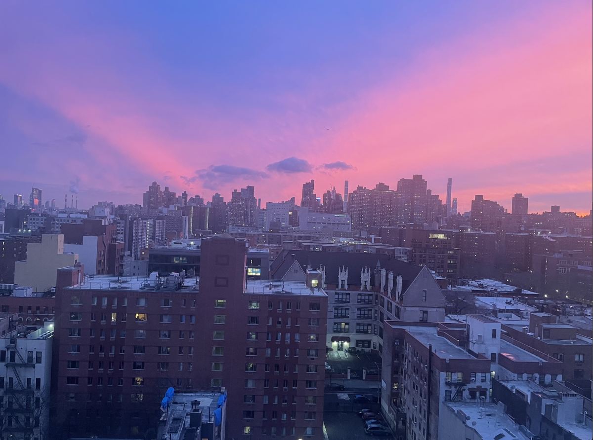 The diverse flavor of NYC